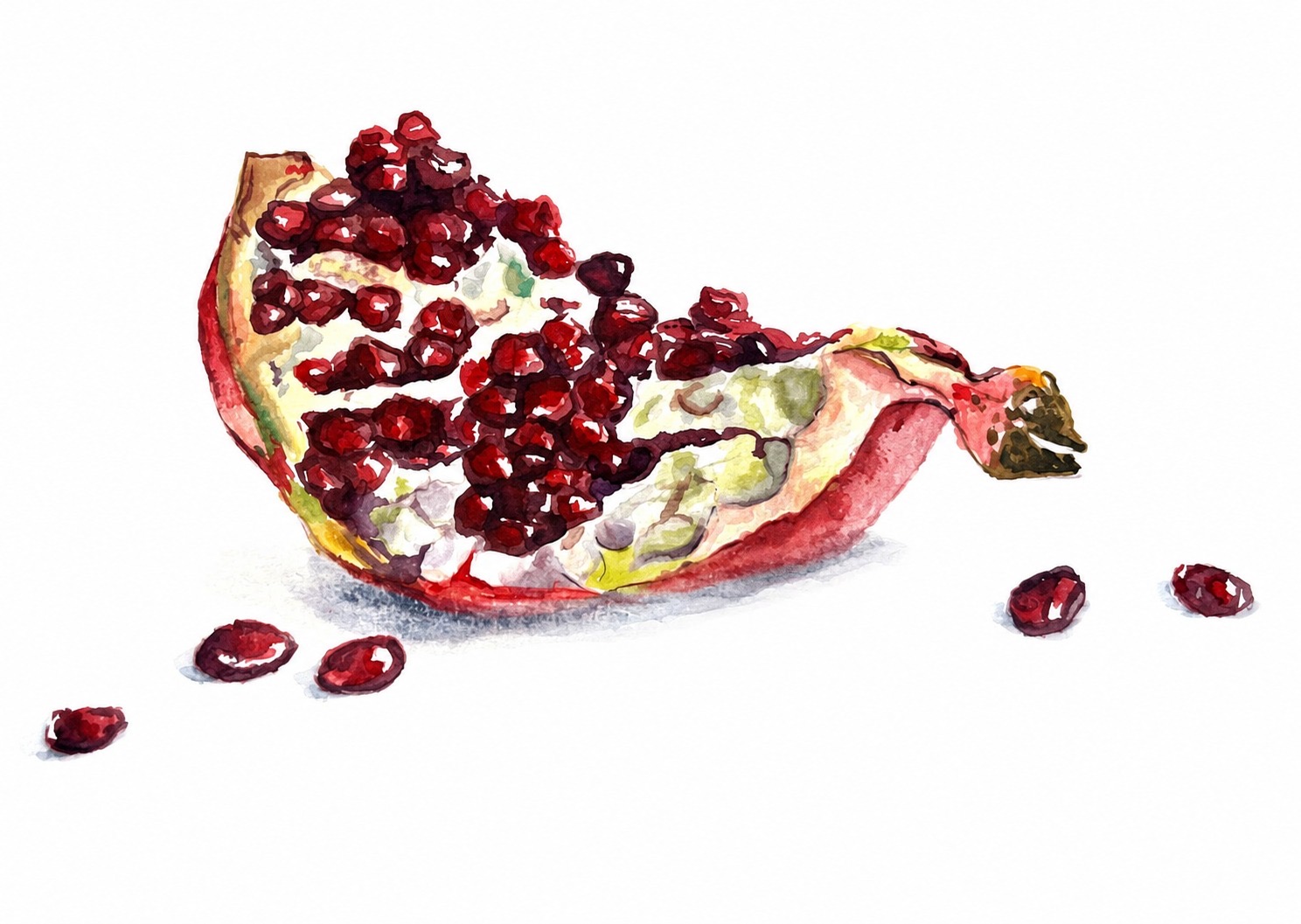 paintings — N° 4 — watercolor on paper, 2024